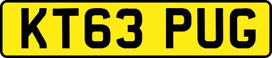 KT63PUG