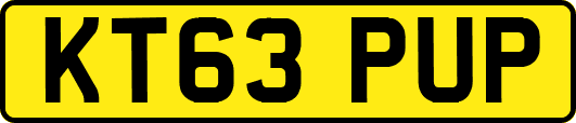 KT63PUP