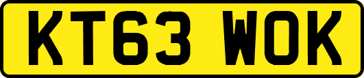 KT63WOK