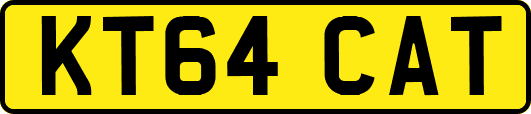 KT64CAT