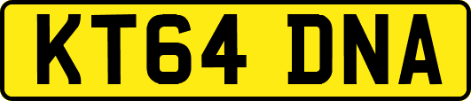 KT64DNA