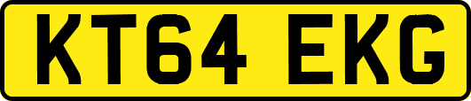 KT64EKG