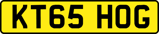 KT65HOG