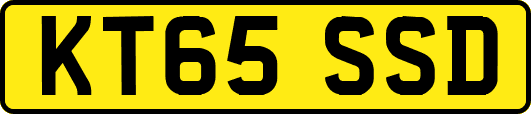 KT65SSD