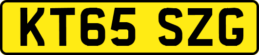 KT65SZG