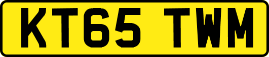 KT65TWM