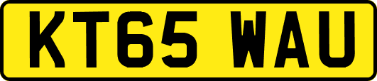 KT65WAU