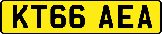 KT66AEA