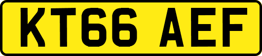 KT66AEF