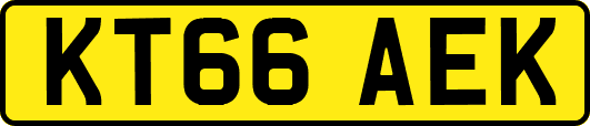 KT66AEK