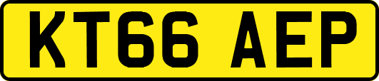 KT66AEP