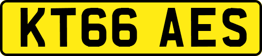 KT66AES