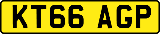 KT66AGP