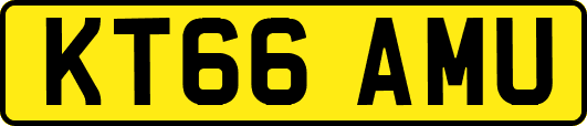 KT66AMU