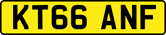 KT66ANF
