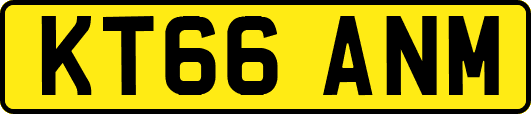 KT66ANM