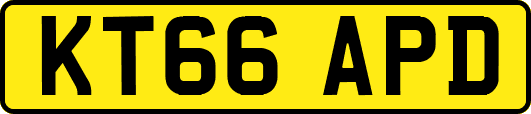 KT66APD