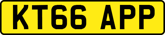 KT66APP