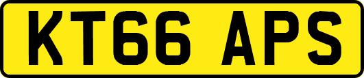 KT66APS