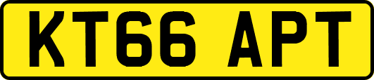 KT66APT