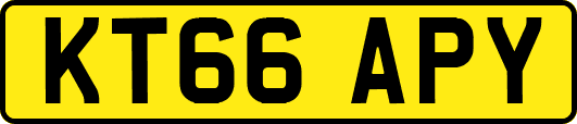 KT66APY