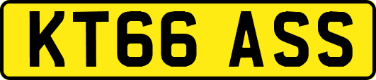 KT66ASS