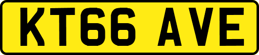KT66AVE