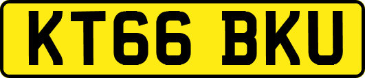 KT66BKU