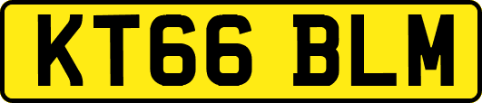 KT66BLM
