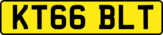 KT66BLT