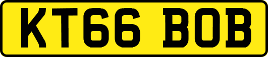 KT66BOB