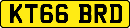 KT66BRD