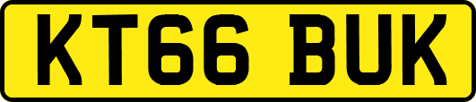 KT66BUK