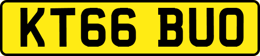 KT66BUO