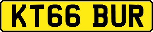 KT66BUR
