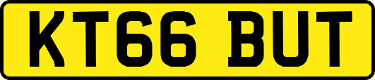 KT66BUT
