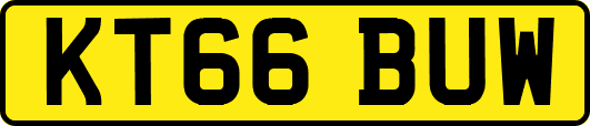 KT66BUW