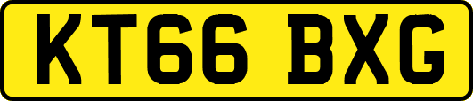 KT66BXG
