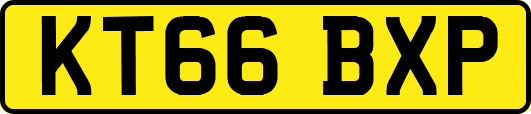KT66BXP