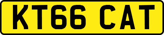 KT66CAT