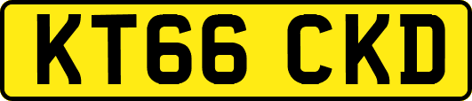KT66CKD