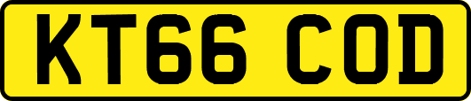 KT66COD