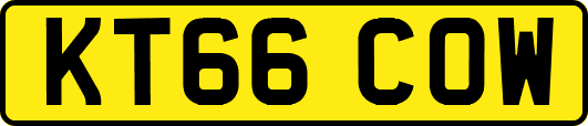 KT66COW