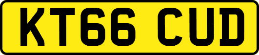 KT66CUD