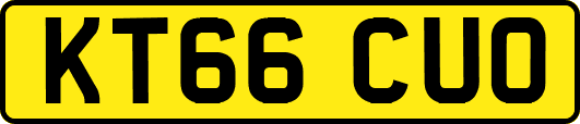 KT66CUO