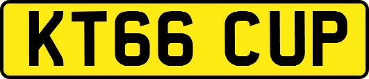 KT66CUP