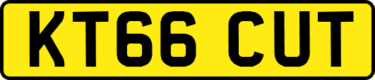 KT66CUT