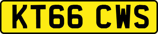 KT66CWS