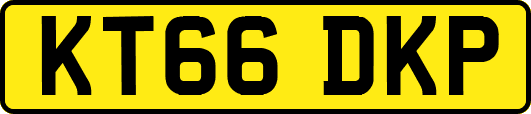 KT66DKP