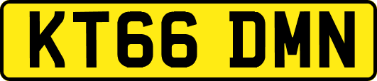 KT66DMN